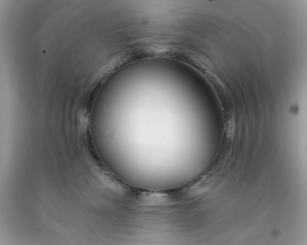 X0000091700476200709141103