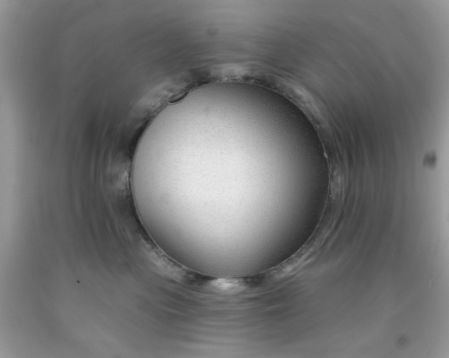 X0000091700477200709141103