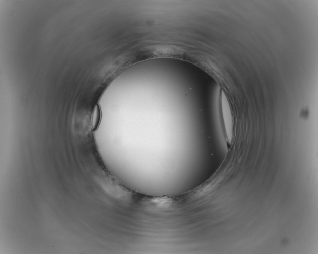 X0000091700478200709141103