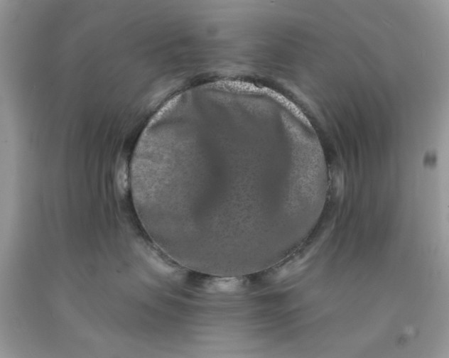 X0000091700479200709141103