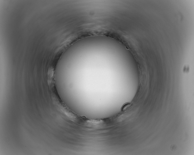 X0000091700480200709141103