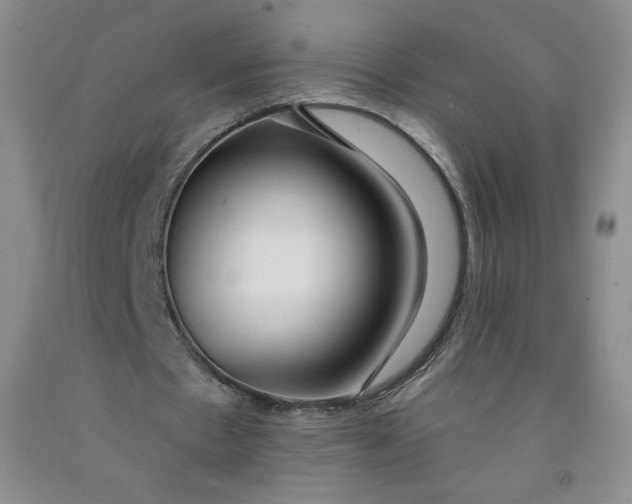 X0000091700481200709141102