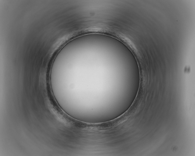 X0000091700482200709141102