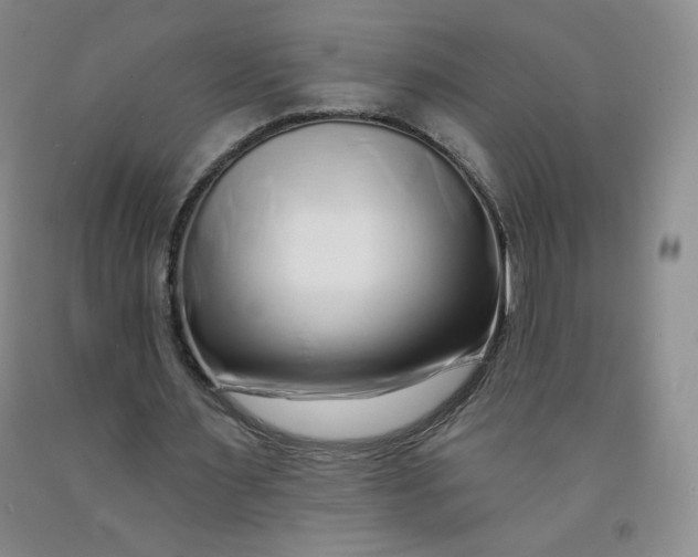 X0000091700483200709141102