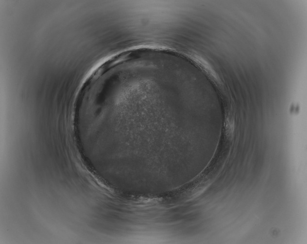 X0000091700484200709141102