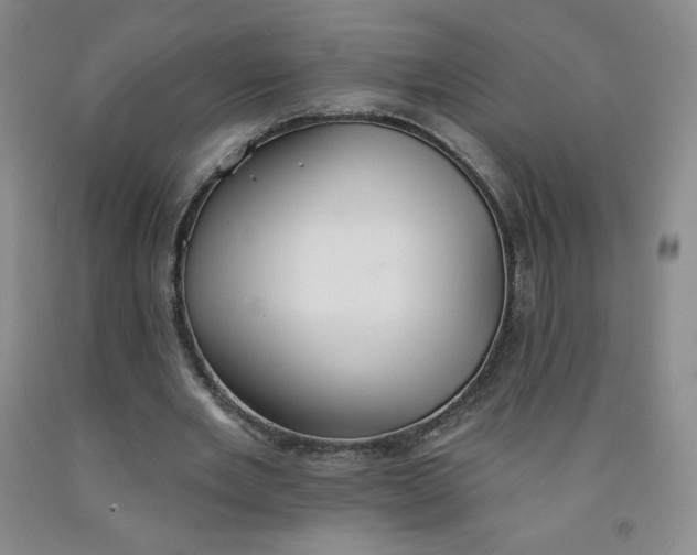 X0000091700485200709141102