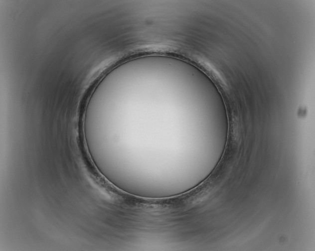 X0000091700486200709141102