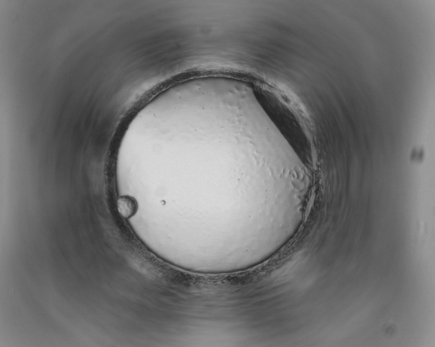 X0000091700487200709141102