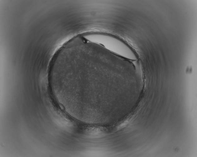 X0000091700488200709141102