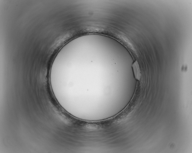 X0000091700490200709141102