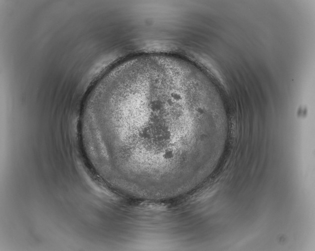 X0000091700491200709141102