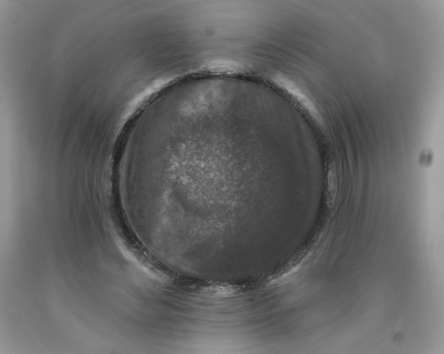 X0000091700492200709141102