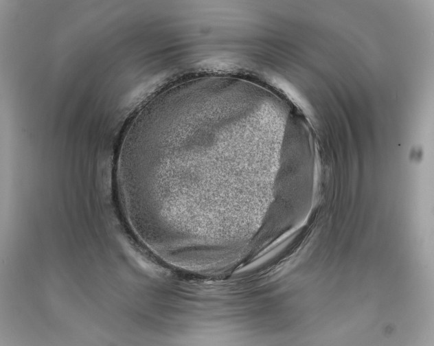 X0000091700493200709141102