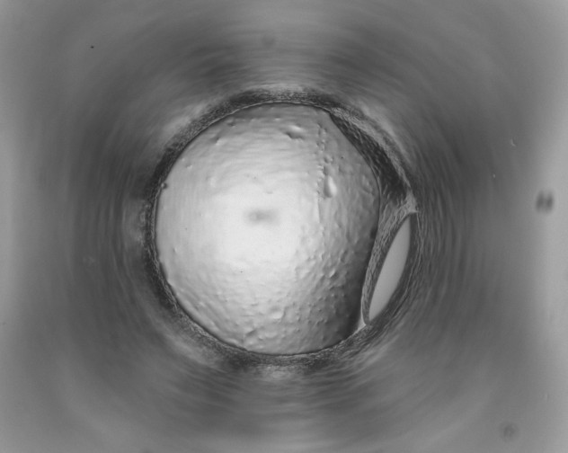 X0000091700495200709141102