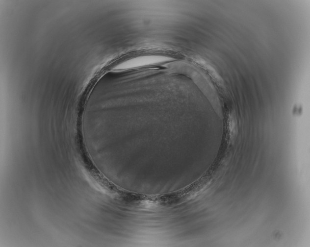 X0000091700496200709141102