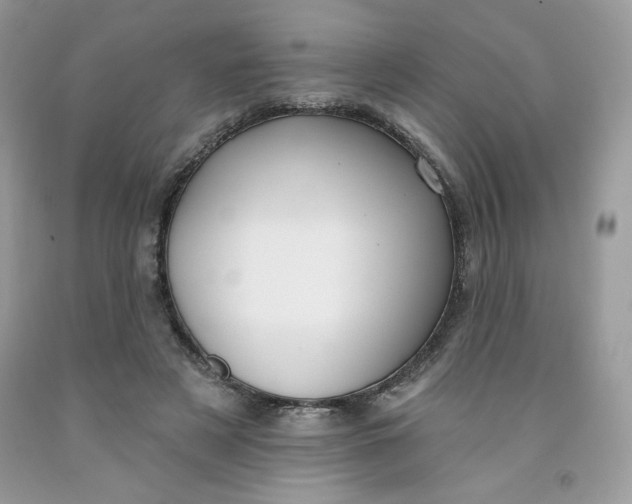 X0000091700497200709141102