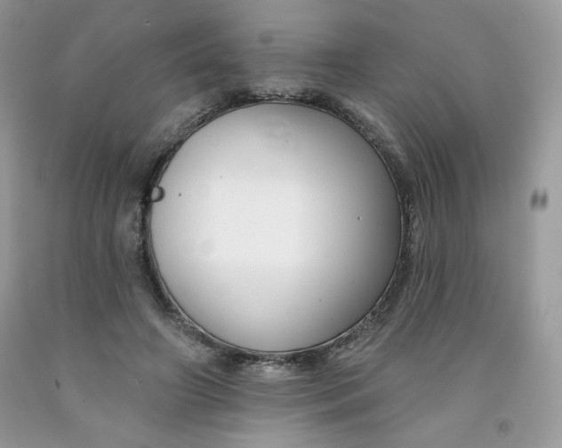 X0000091700498200709141102