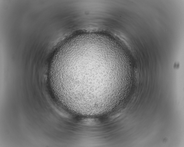 X0000091700499200709141102