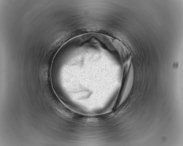 X0000091700501200709141102