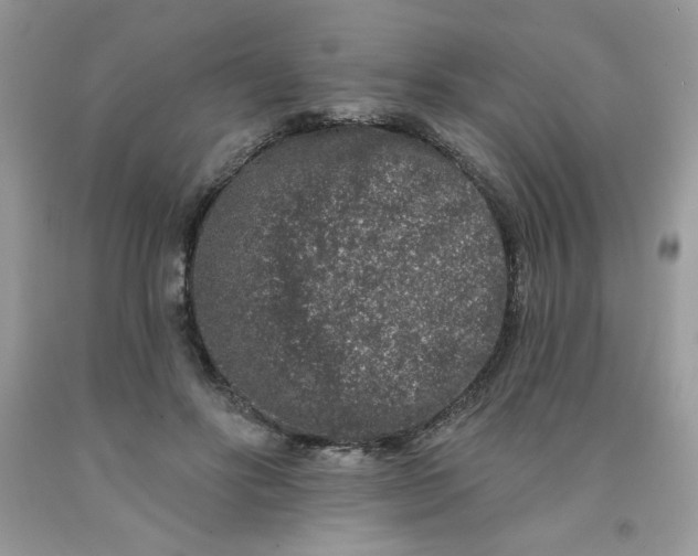 X0000091700502200709141102