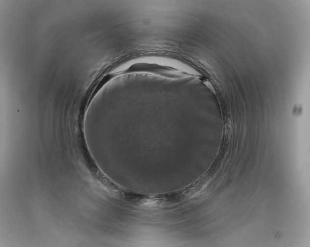 X0000091700504200709141102