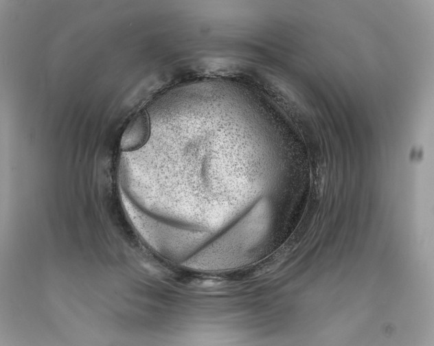 X0000091700506200709141102