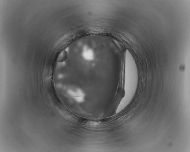 X0000091700507200709141102