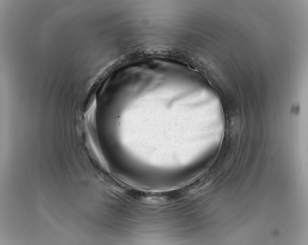 X0000091700508200709141102