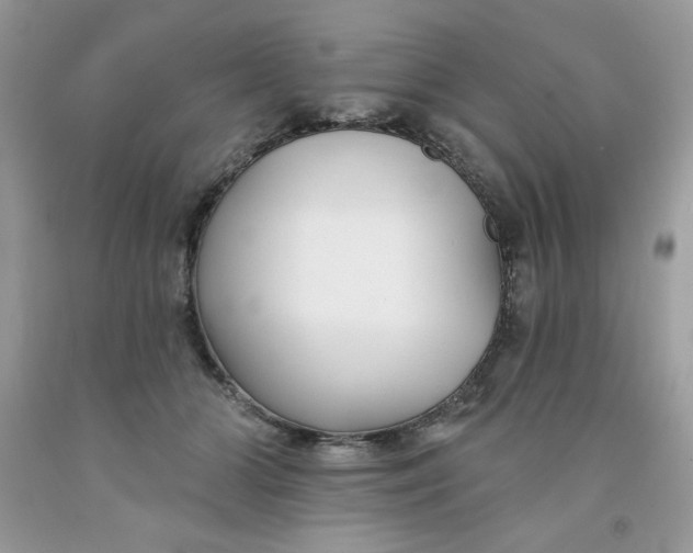 X0000091700510200709141102