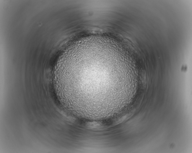 X0000091700511200709141102