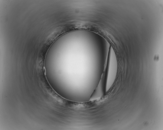 X0000091700513200709141102