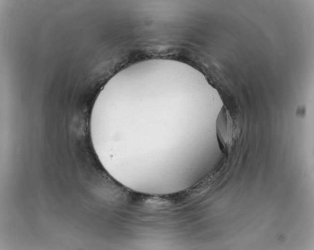 X0000091700515200709141102