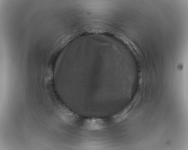 X0000091700517200709141102