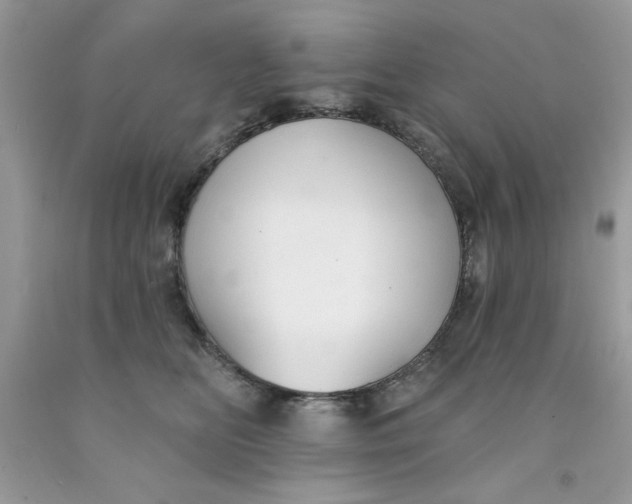 X0000091700518200709141102