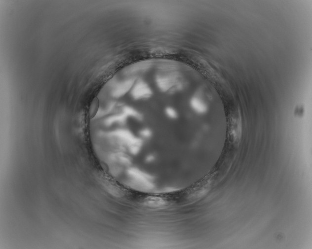 X0000091700519200709141102