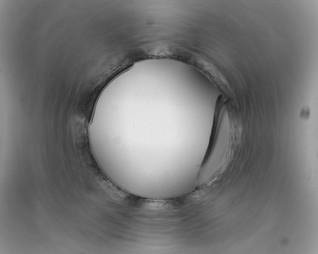 X0000091700521200709141102