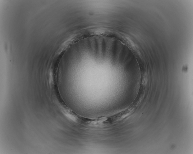 X0000091700524200709141102