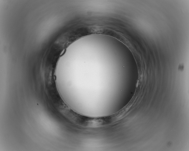 X0000091700525200709141102