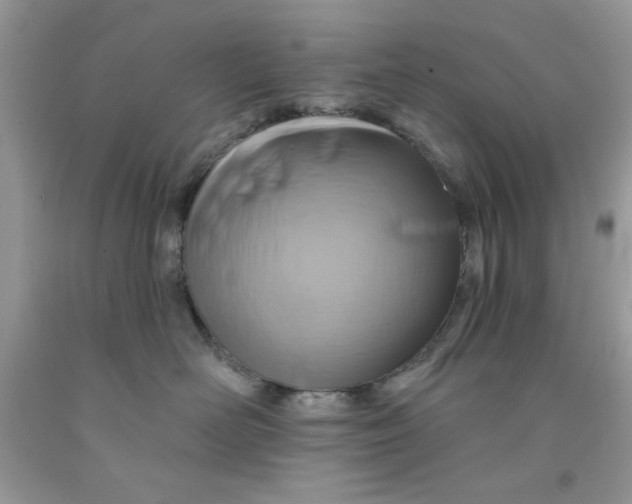 X0000091700526200709141102