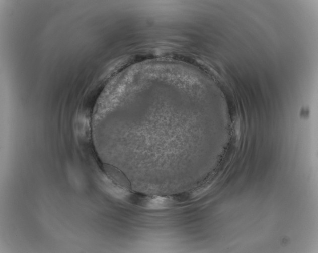 X0000091700527200709141102