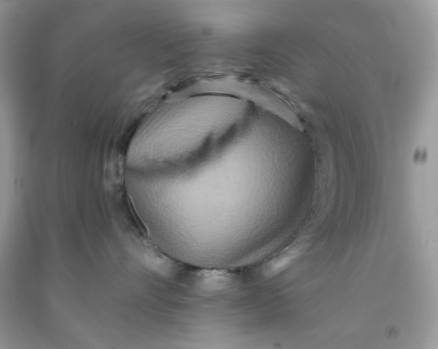 X0000091700528200709141102