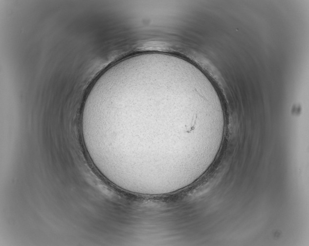 X0000091700529200709141101