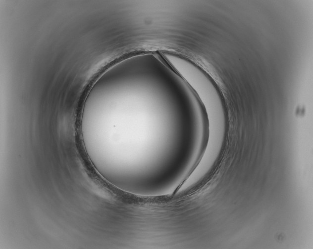 X0000091700530200709141101