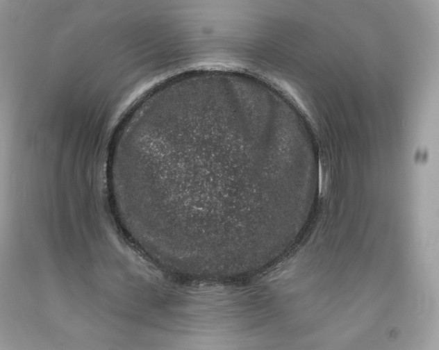 X0000091700531200709141101