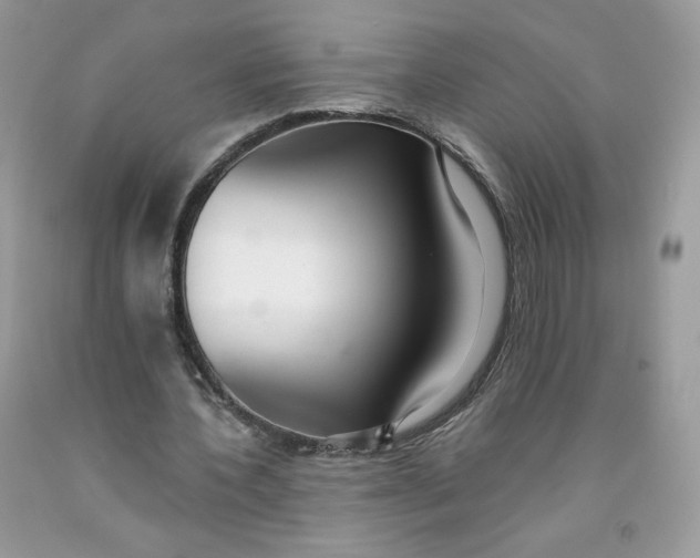 X0000091700532200709141101