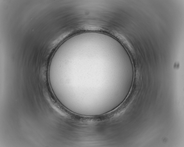 X0000091700533200709141101