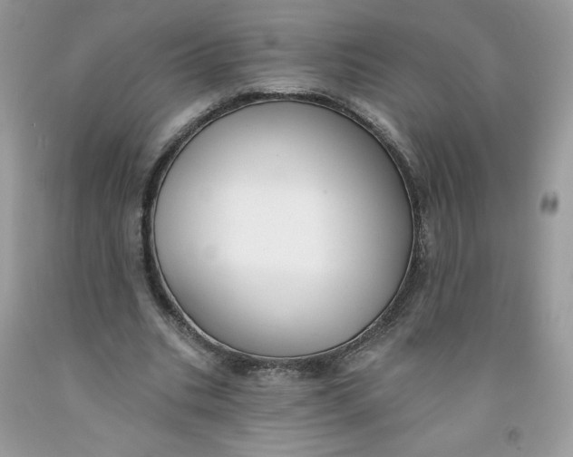 X0000091700535200709141101