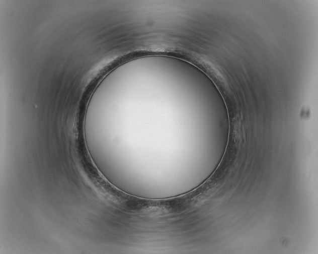 X0000091700536200709141101