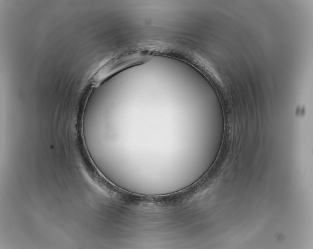 X0000091700538200709141101