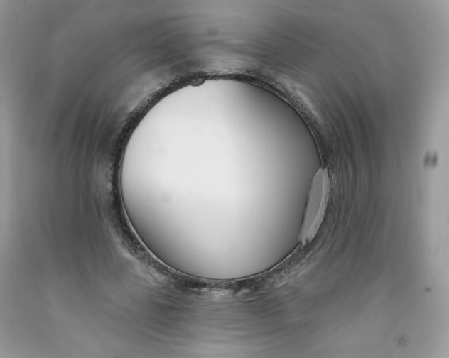 X0000091700539200709141101